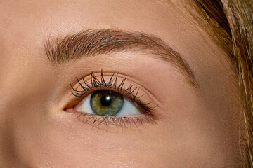 Obraz premium Closeup of green female eye with shaped eyebrow and natural makeup. Concept of clean beauty, eyebrow styling, mascara advertising, eye cosmetics and personal care branding.