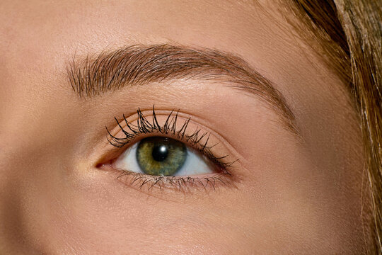 Closeup of green female eye with shaped eyebrow and natural makeup. Concept of clean beauty, eyebrow styling, mascara advertising, eye cosmetics and personal care branding.