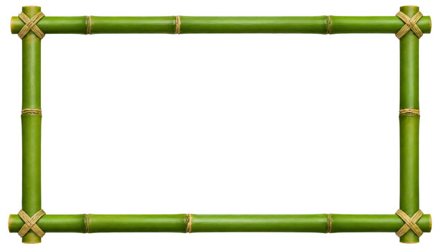 Fresh green bamboo rectangular frame with tied corners isolated on transparent background PNG file for tropical designs