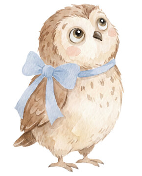 Cute Illustration of Little Owl with Blue Birthday Ribbon