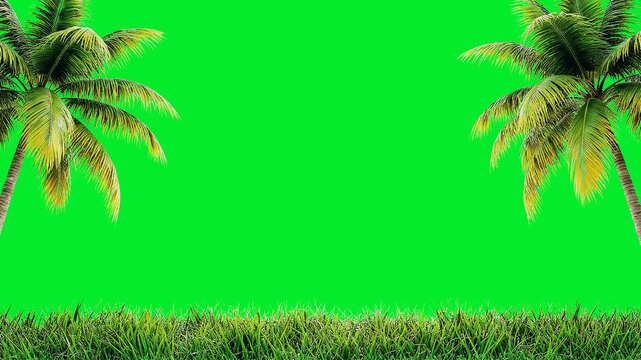 Two palm trees on sides with green grass foreground and chroma key background.