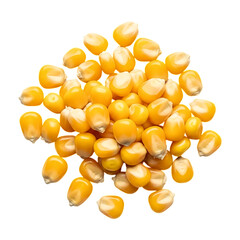Fototapeta premium Yellow corn kernels heap fresh organic farm produce