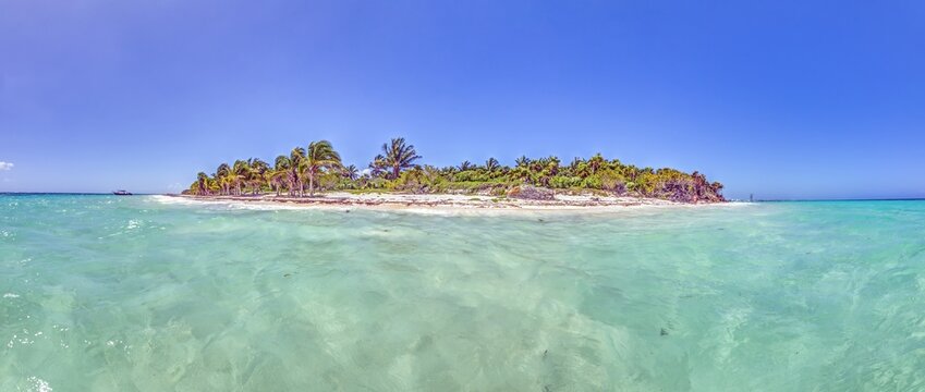Tropical Islet in Crystal Clear Caribbean Water Riviera Maya
