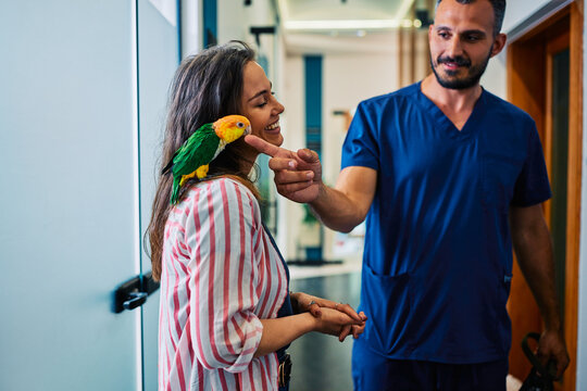 Veterinarian checking on parrot with smiling pet owner