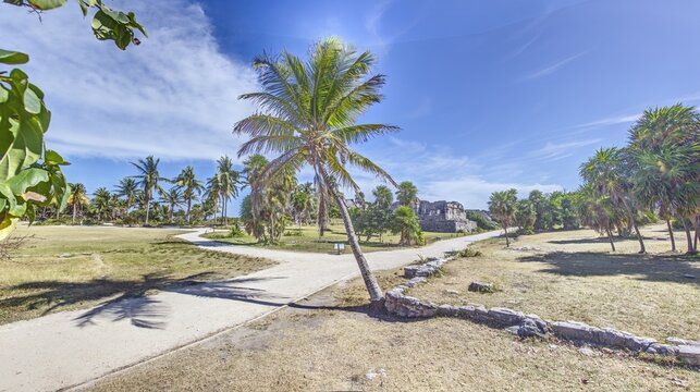Tulum Ruins with Palm Trees on Caribbean Coast