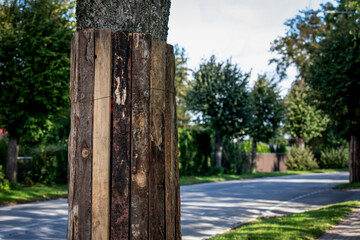 Fototapeta premium Tree Protection During Road Construction With Wooden Trunk Barrier for Damage Prevention