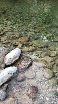 Clear Green Water of Beautiful Brembo River in Parina Valley, Italian Alps, During Summer. Nature's Detail Video. Camerata Cornello, Bergamo Province, Italy