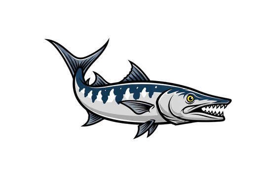 Angry barracuda fish with sharp teeth and pointed fins, menacing underwater predator