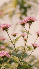 Obraz premium Delicate pink flowers in sunlight mobile wallpaper