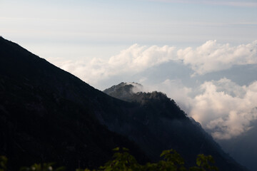 Fototapeta premium Small forested peak rising through a sea of clouds