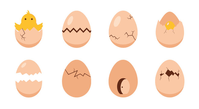 Set of cracked eggs, hatching chick, and broken eggshells, symbolizing new life and beginnings