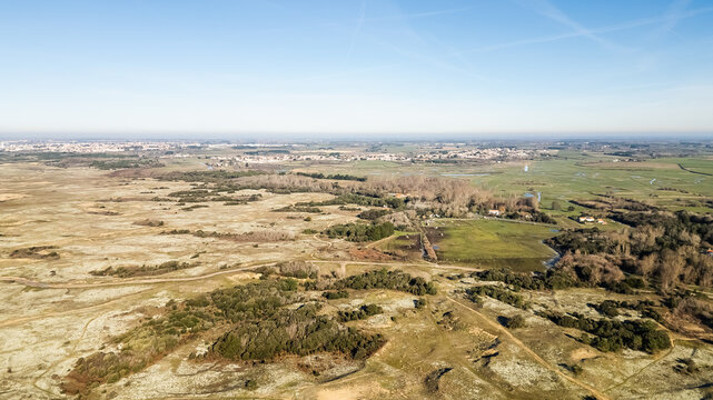 dunes of Br&eacute;tignolles sur mer in Vendee, France on a winter day