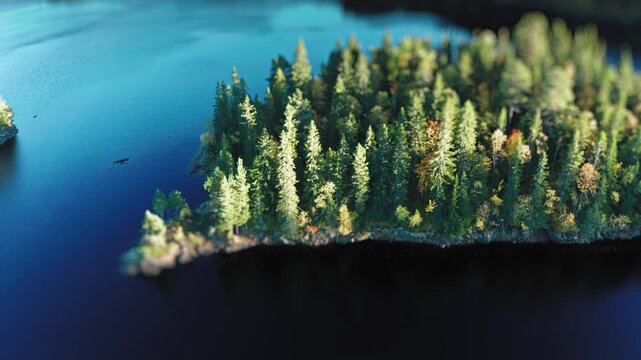 Aerial view of scenic small island covered with pine forest floating on tranquil blue lake water during sunny autumn day.