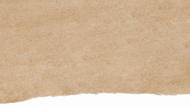 Torn kraft paper texture with faint pastel tear edge
