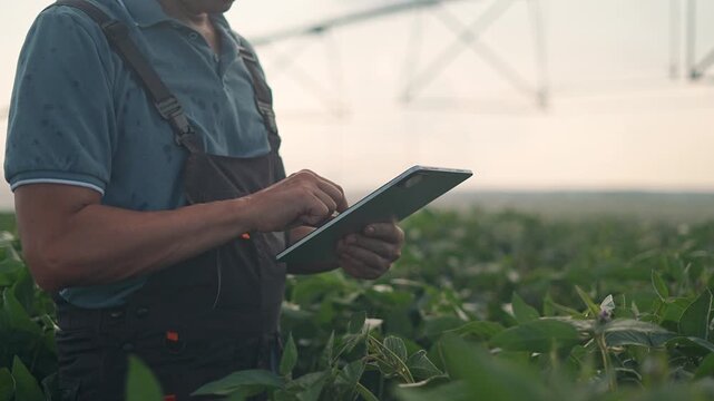 The farmer in agriculture observes plants closely, entering data on tablet. Agronomist in the field focuses on harvest quality. Plants in agribusiness thrive with farmer daily technology inspection.