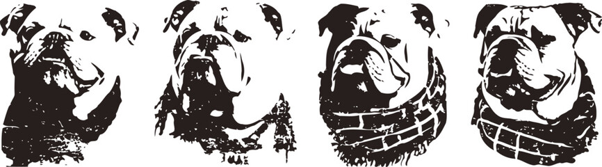 Fototapeta premium Bulldog portrait set with various black and white grunge faces showing different expressions