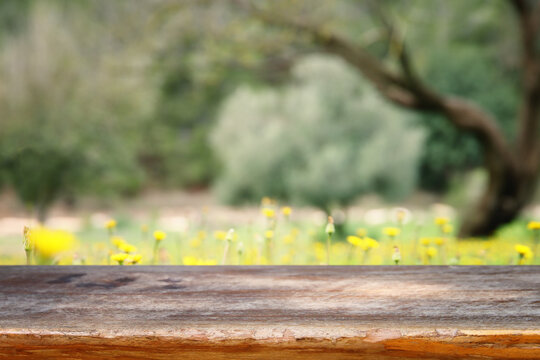 Empty rustic table in front of countryside background. product display and picnic concept