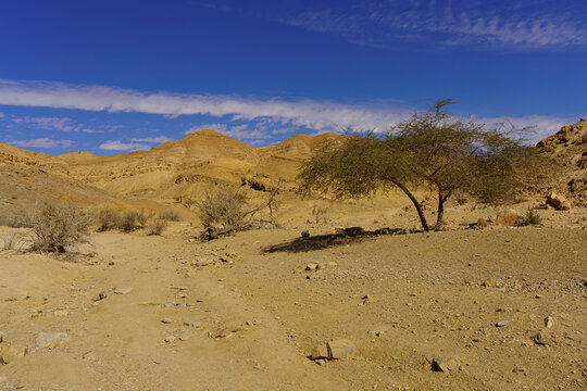 Desert landscape, inside Makhtesh (crater) Ramon