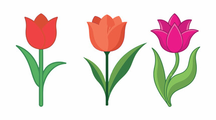 Fototapeta premium Colorful tulip flower icons set with green leaves isolated on white background vector illustration