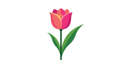 Obraz premium Pink tulip flower illustration with green stem and leaves isolated on white background for spring design