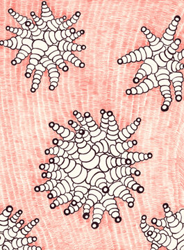 Hand-drawn geometric starfish pattern on textured red background vector illustration
