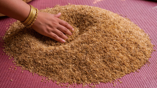 Hand sifting through pile of golden wheat grains