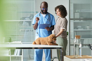 Medium shot of Black male veterinarian reviewing clipboard with Caucasian woman while examining pet dog on table, supporting veterinary care marketing and clinic communication © Mediaphotos