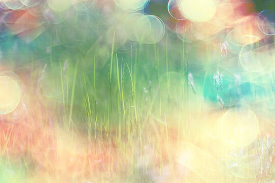 bokeh grass and flowers, summer nature background, blurred sun glare on fields of meadow flowers and fresh grass