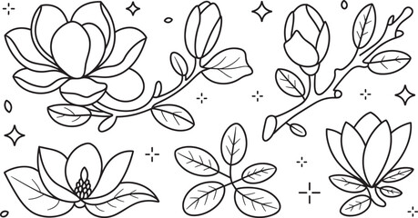 Beautiful magnolia flower branch line art vector set minimal spring botanical floral illustrations elements collection for elegant tattoo outline design © Sukhi