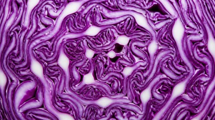 Obraz premium Close up of vibrant purple cabbage texture