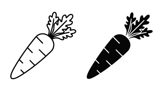 Vector illustration of set of carrot icons, outline and silhouette style, vegetable vector illustration on a transparent background