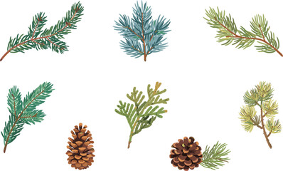 Fototapeta premium Watercolor Winter Botanical Vector Set Featuring Pine Branches, Cedar Sprigs, Fir Foliage, Spruce Twigs, and Detailed Pinecones for Christmas Clipart Designs