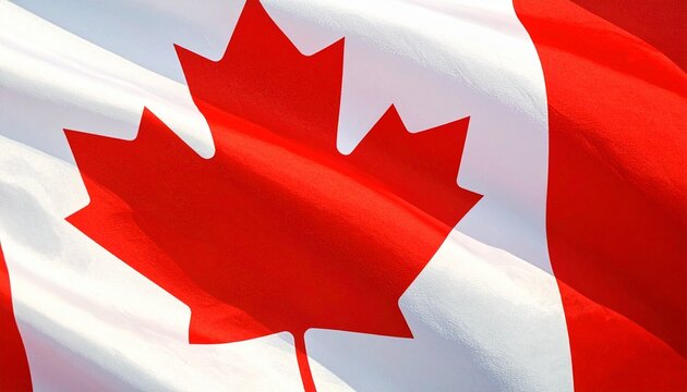 Canadian flag in full screen.