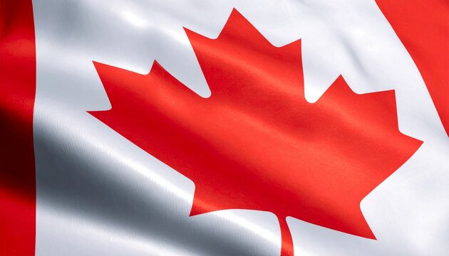 Canadian flag in full screen.