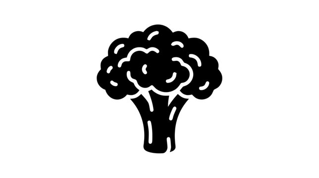 Vector illustration of broccoli icon vector illustration on a transparent background