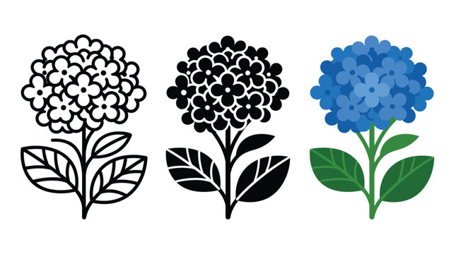 Set of three blue hydrangea flower icons in line art solid black and flat color styles Vector