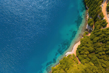 Fototapeta premium Top view of a secluded coastal pathway along vibrant forest edge and crystal clear sea