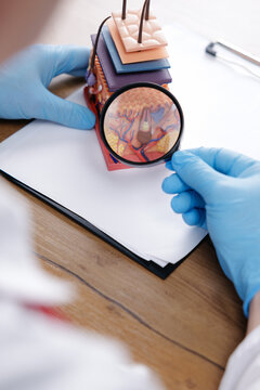 Hair and skin anatomy model under magnifier with gloved hands for dermatology trichologist education poster