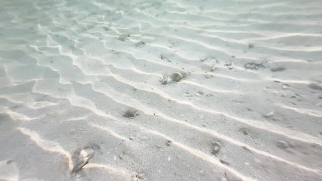 Close up underwater sandy seabed with ripple patterns and pebbles in shallow ocean, natural marine background, 4K_2_15s_0,20,IMG_0273_1,37_20260222.MOV.mov