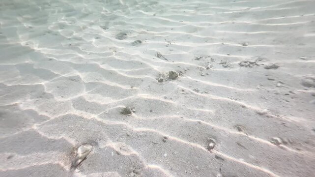 Close up underwater sandy seabed with ripple patterns and pebbles in shallow ocean, natural marine background, 4K_1_15s_0,05_IMG_0273_1,37_20260222.MOV.mov