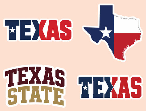 TEXAS STATE STICKER
