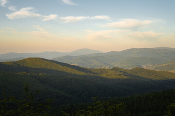 A serene panoramic view of endless mountain ridges blanketed in lush green forests during a soft golden hour. A light haze fills the valleys between the slopes, while delicate clouds drift across. © Alexandra Dubinina
