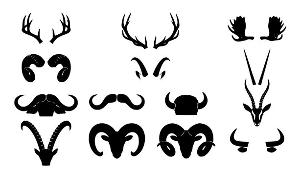 Animal horn and antler silhouettes set with deer, moose, ram, buffalo, goat, and antelope head icons isolated on white background