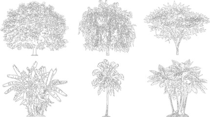 Set of architectural tree elevation silhouettes for landscape design  © ArifulHaq