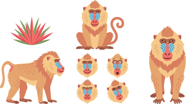 Cute mandrill baboon cartoon character set with different facial expressions standing walking and sitting isolated on white background vector.