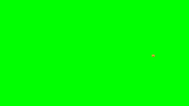 Animated Halloween Elements on Green Screen with Pumpkin Ghost Bat and Candy Icons for Video Overlay