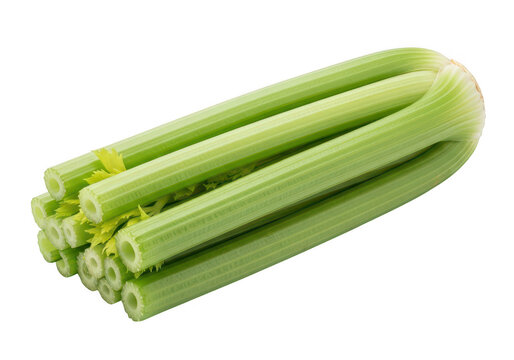 Fresh green celery stalks tied together as a healthy vegetable bundle for cooking and eating