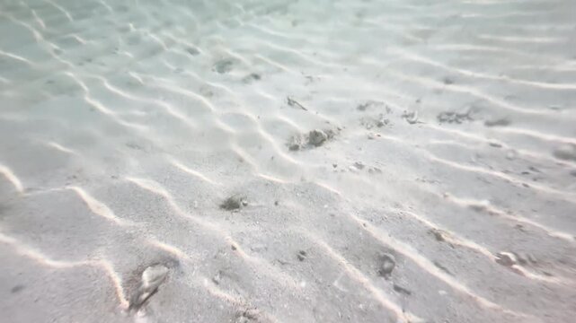 Close up underwater sandy seabed with ripple patterns and pebbles in shallow ocean, natural marine background, 4K_4_25s_1,00_IMG_0273_1,37_20260222.MOV.mov