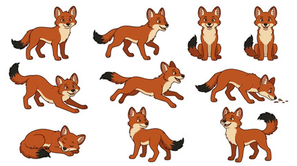 Obraz premium Various red foxes are shown in different poses and movements on white