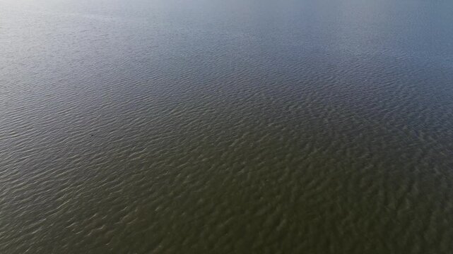 Rippling Water Surface Texture